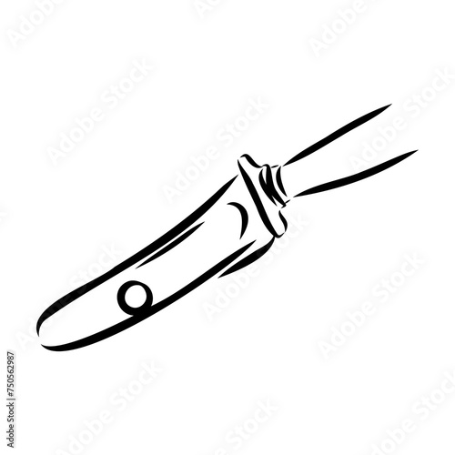 basque pelota vector line icon. playing basque pelota. sport pictogram illustration.