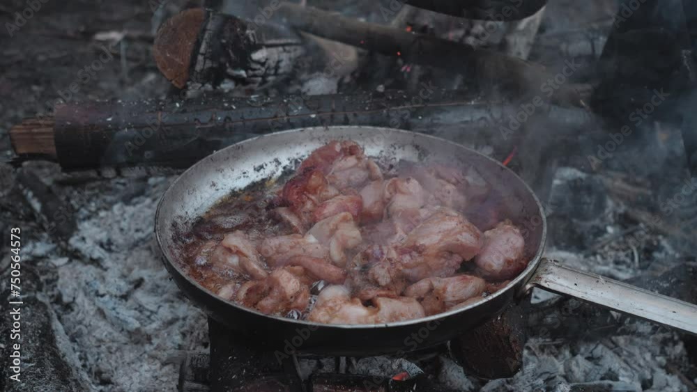 delicious chicken meat on a forest hike, cooking lunch or dinner in a frying pan over a campfire delicious chicken meat on a forest hike, cooking lunch or dinner in a frying pan over a campfire