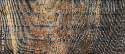 old wood texture