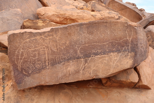 Des gravures rupestres en Algérie à Taghit