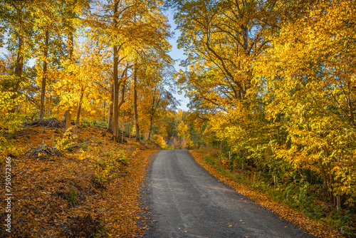 road in autumn © Christian