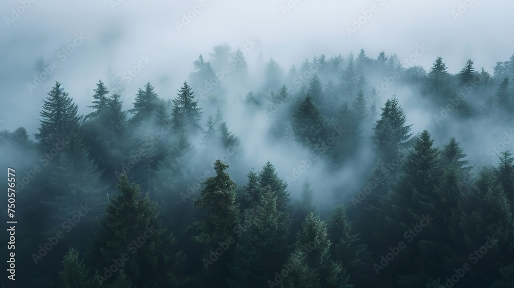 artificial intelligence generated image of a pine forest