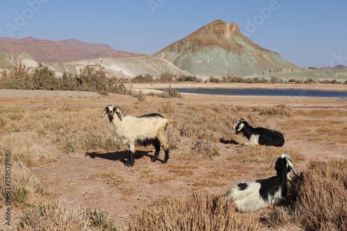Cirque d'Ain Ouarka en Algérie