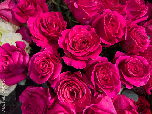 beautiful fresh roses as background  close up. Valentines day