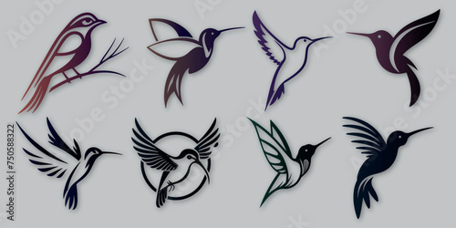 hummingbird modern logo design vector template  
