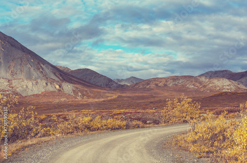 Road in tundra