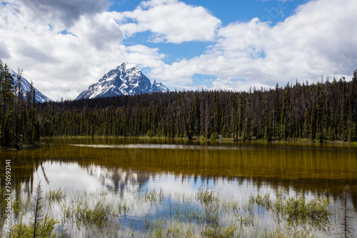 Summer landscape in Jasper National Park, Canada © Alberto Gonzalez 
