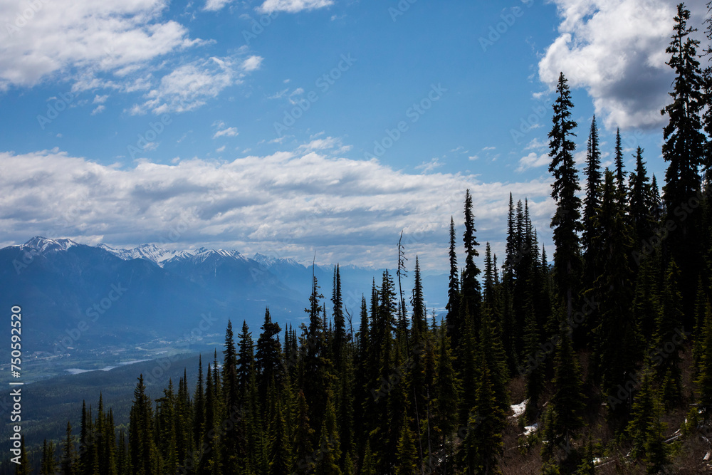 Summer landscape in Glacier National Park, British Columbia, Canada