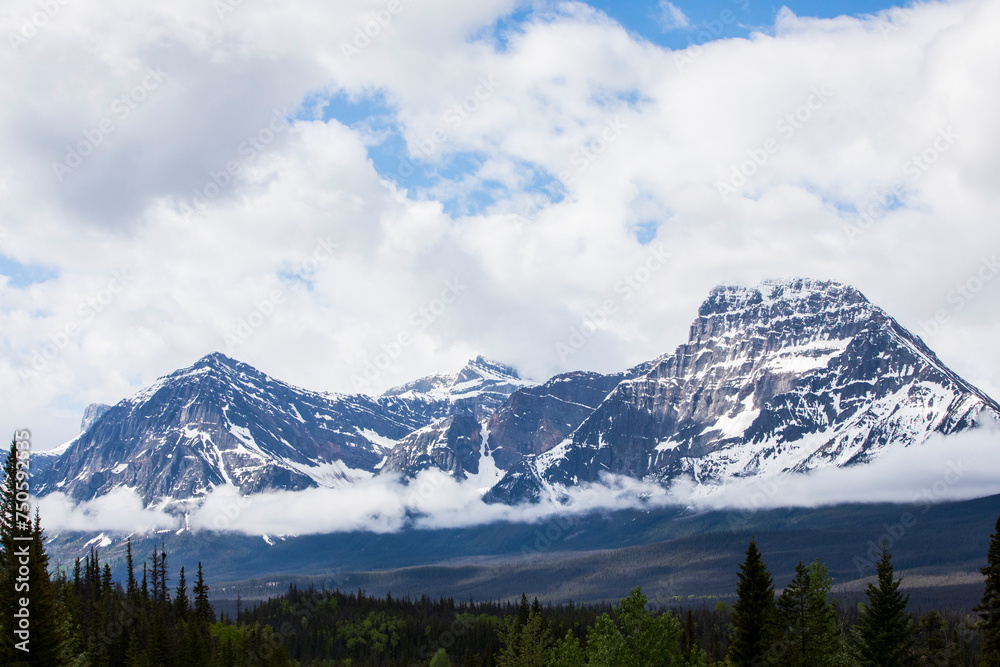 Summer landscape in Jasper National Park, Canada Summer landscape in Jasper National Park, Canada