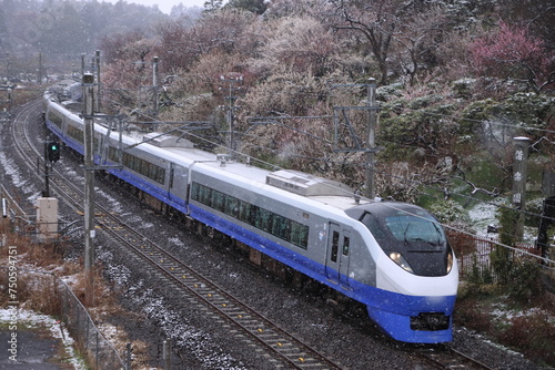 満開の梅と雪が舞う偕楽園を横目に駆け抜けるE657系電車(リバイバルカラー)_2024/2/23撮影