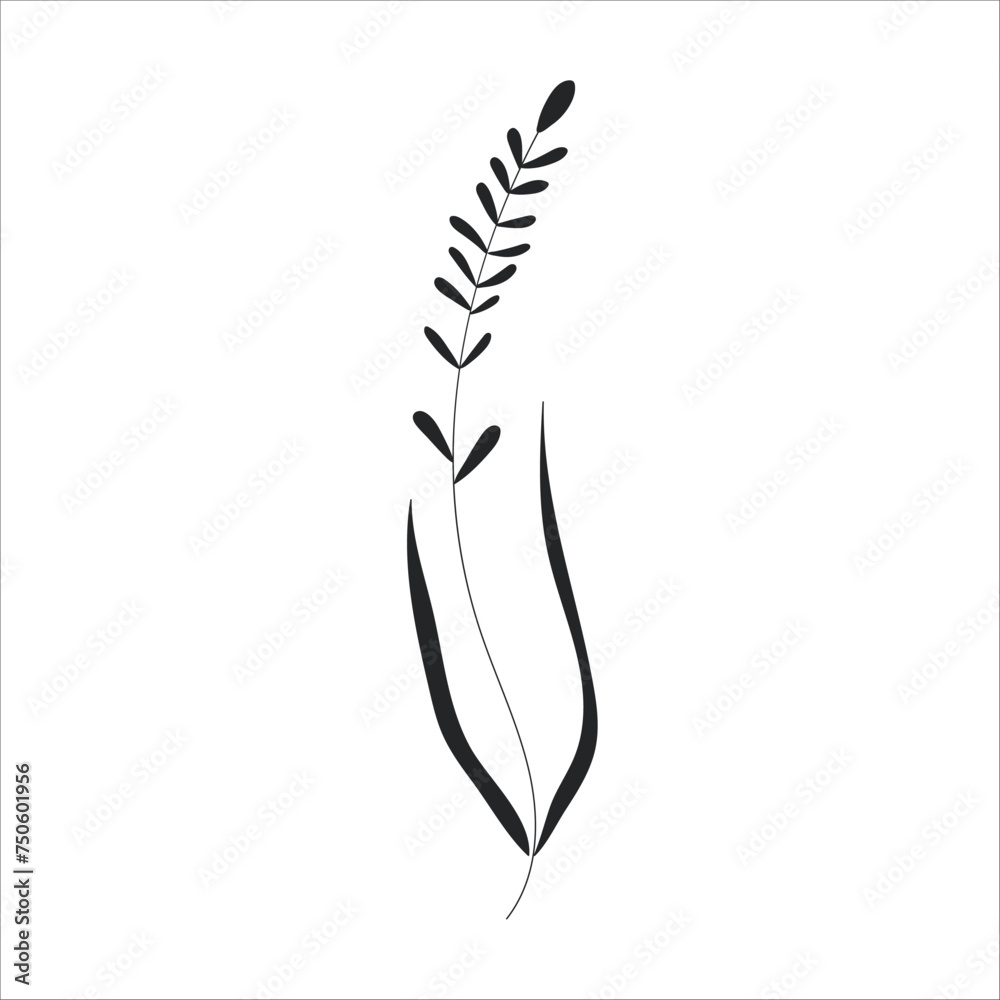 Black silhouette of a plant branch. Flower branch in outline style hand drawn on isolated white background. Vector stock illustration. Tropical leaves. Minimal line art for print, cover or tattoo. Black silhouette of a plant branch. Flower branch in outline style hand drawn on isolated white background. Vector stock illustration. Tropical leaves. Minimal line art for print, cover or tattoo.
