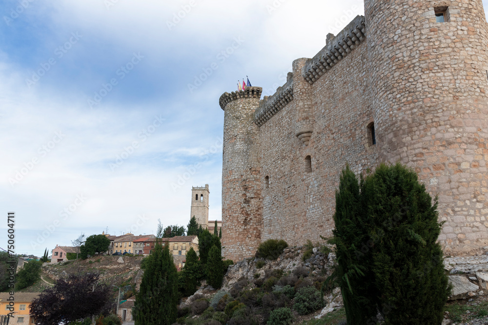 Fototapeta premium a stone castle with flags and a tower, surrounded by greenery, overlooking an old town under a cloudy sky