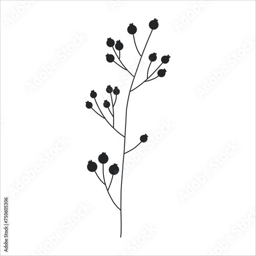 Black silhouette of a plant branch. Flower branch in outline style hand drawn on isolated white background. Vector stock illustration. Minimal line art for print  cover or tattoo.