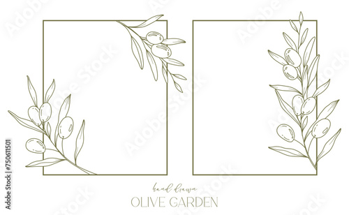 Olives Line Drawing. Black and white Olive Frame. Olive Wreath Isolated. Floral Line Art. Fine Line Olive  illustration. Black and white Olive Branches. Hand Drawn Olive. Wedding invitation greenery