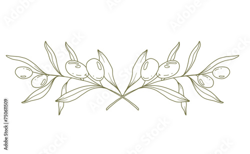 Olive branch on white background vector illustration. Olives Line Drawing. Black and white Olive Branches. Floral Line Art. Fine Line Olives illustration. Hand Drawn Olive. Wedding invitation greenery