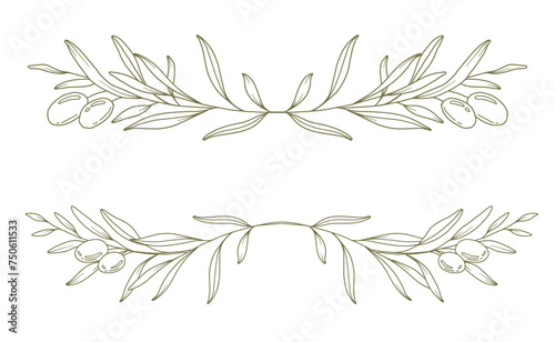 Olive branch on white background vector illustration. Olives Line Drawing. Black and white Olive Branches. Floral Line Art. Fine Line Olives illustration. Hand Drawn Olive. Wedding invitation greenery