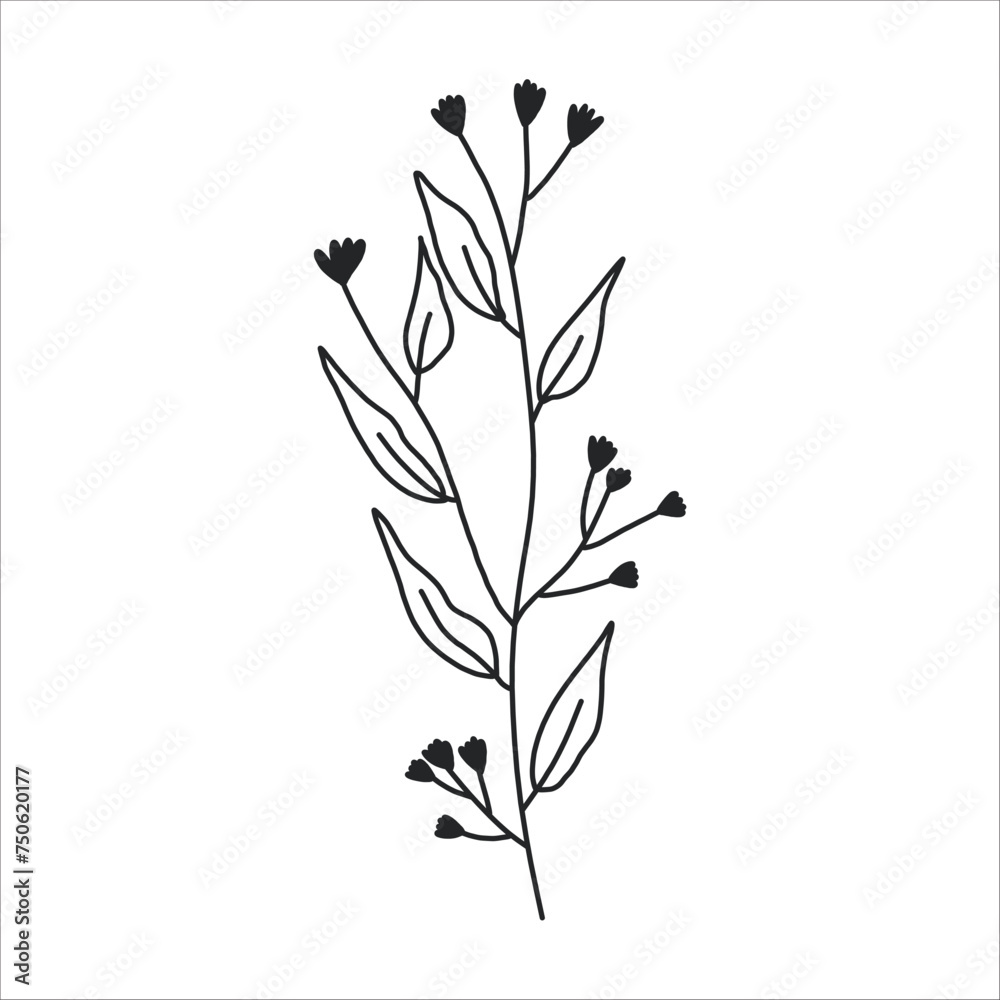 Obraz premium Black silhouette of a plant branch. Flower branch in outline style hand drawn on isolated white background. Vector stock illustration. Tropical leaves. Minimal line art for print, cover or tattoo. 