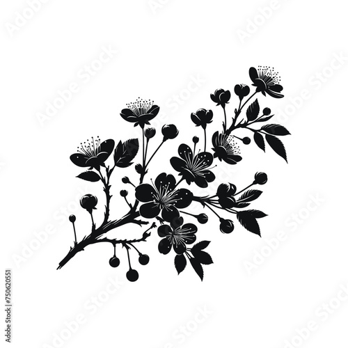Nature's Delight Silhouette of Cherry Flowers in Clusters on a Tree Branch