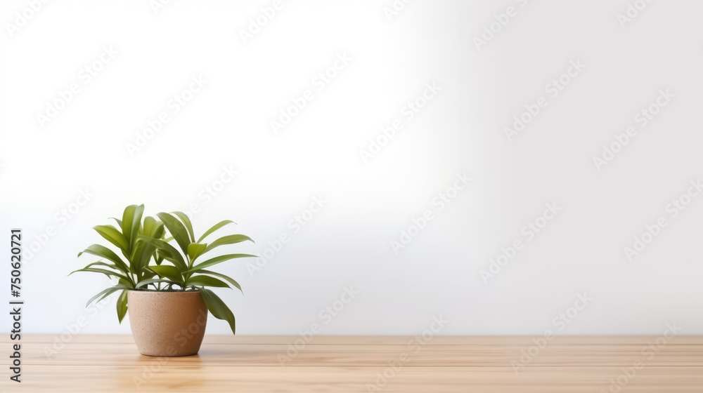 Grunge natural wooden desk top with a little plant with copy space for product advertising over blurred brushed white background Grunge natural wooden desk top with a little plant with copy space for product advertising over blurred brushed white background