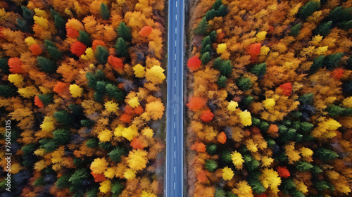 Autumn landscape road through the forest