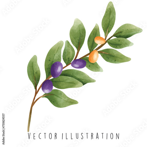 Watercolor Happy Hanukkah with olive. Vector Illustration