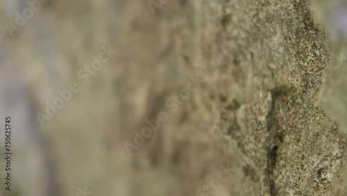 Close-up of the shoes of a rock climber climbing a cliff