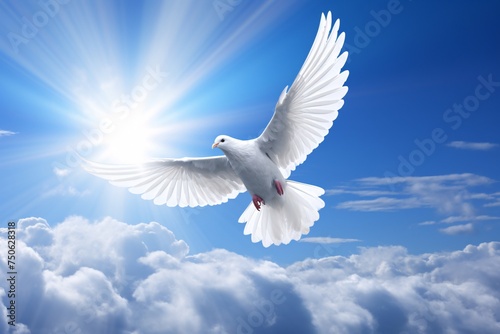 a white dove flying in the sky with clouds and sun