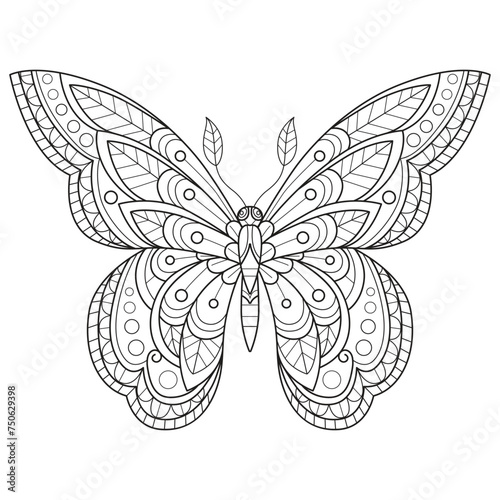 So cute butterfly hand drawn for adult coloring book