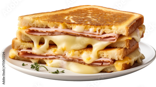 A ham and cheese grilled sandwich on a plate