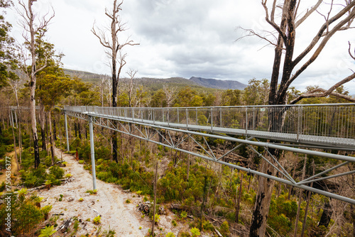 Tahune Airwalk in Tasmania Australia