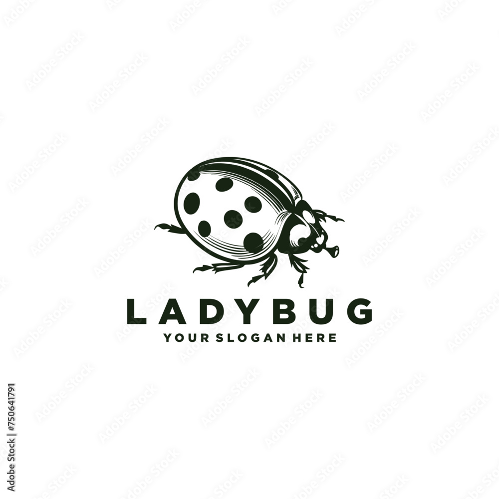 Ladybug icon. Vector image of red flying insect
Ladybug icon. Vector image of red flying insect