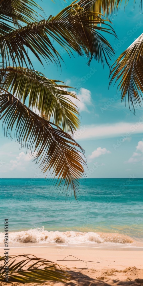 palm tree on the beach, background 