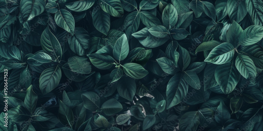  green leaves