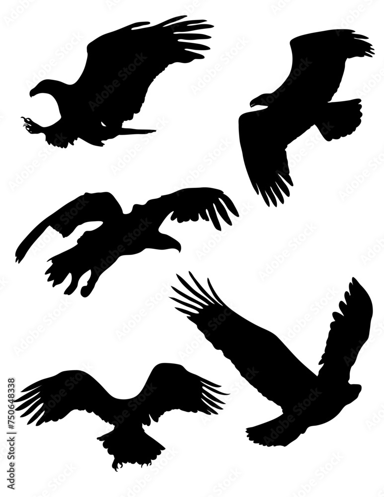 Eagle Silhouettes Eagle Silhouettes