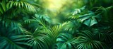 beautiful green jungle of lush palm leaves, palm trees in an exotic tropical forest, tropical plants nature concept for panorama wallpaper
