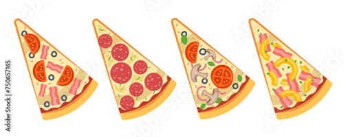 4 types of pizza. Pizza slices vector illustration. 
