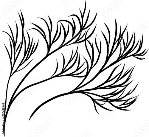 Dill. Ukrainian food. Hand drawn vector flat illustration.