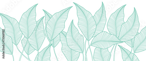 Tropical leaves wallpaper  Luxury nature leaf pattern design  botanical foliage lines. Hand drawn outline fabric  print  cover  banner and invitation 