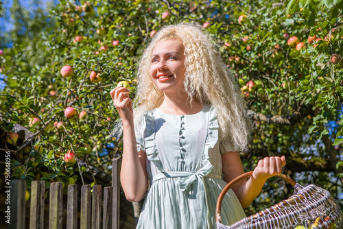 Beautiful blonde girl picking apples