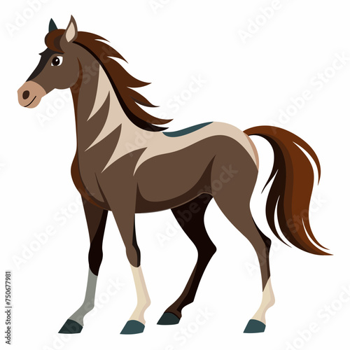 Horse colt filly mare stallion bronco foal gelding mustang nag plug pony steed animal pet vector illustration draw cartoon pretty cute