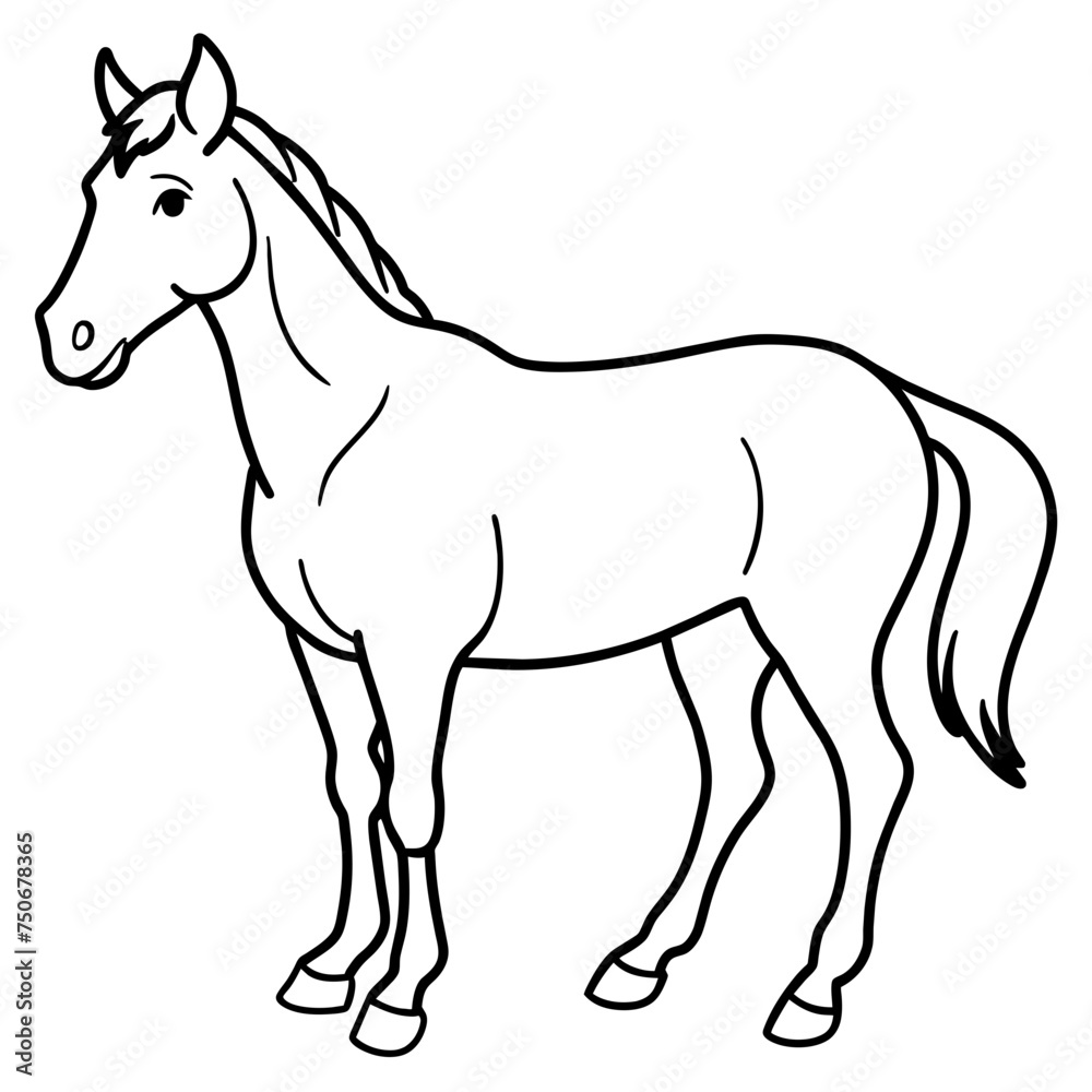 Horse colt filly mare stallion bronco foal gelding mustang nag plug pony steed animal pet vector illustration draw cartoon pretty cute