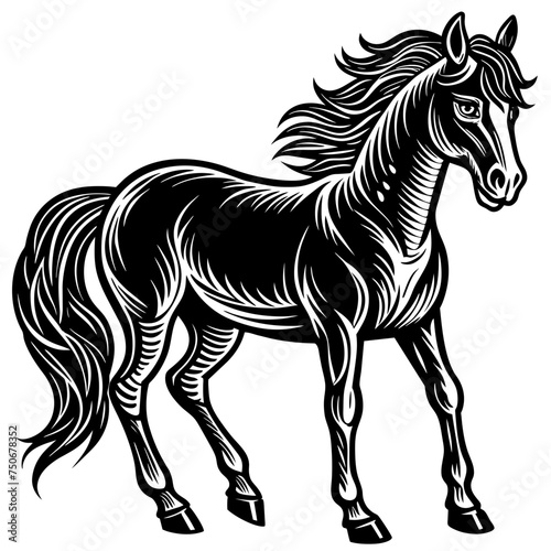 Horse colt filly mare stallion bronco foal gelding mustang nag plug pony steed animal pet vector illustration draw cartoon pretty cute
