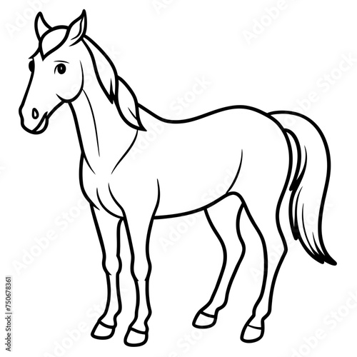 Horse colt filly mare stallion bronco foal gelding mustang nag plug pony steed animal pet vector illustration draw cartoon pretty cute