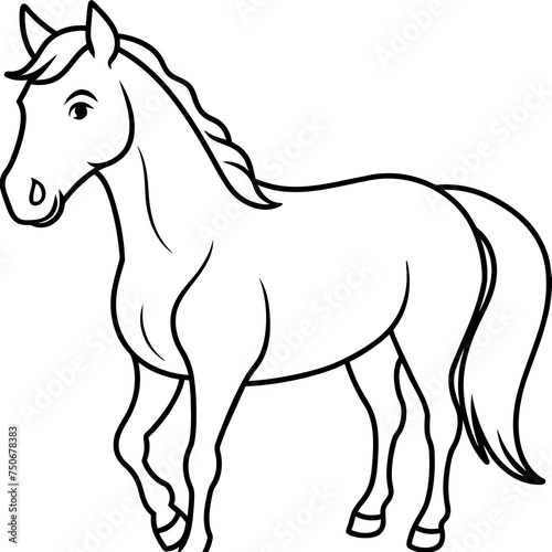 Horse colt filly mare stallion bronco foal gelding mustang nag plug pony steed animal pet vector illustration draw cartoon pretty cute