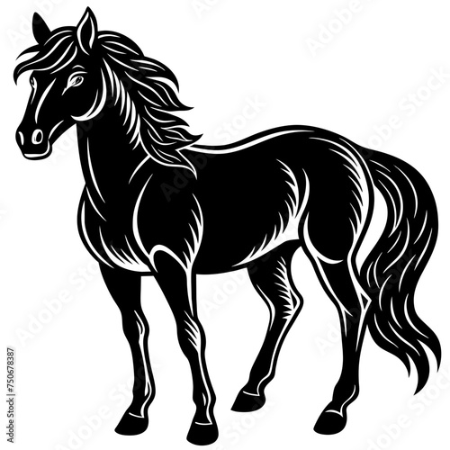 Horse colt filly mare stallion bronco foal gelding mustang nag plug pony steed animal pet vector illustration draw cartoon pretty cute