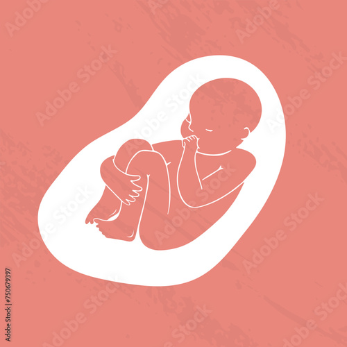 A baby in the womb. Ultrasound of the uterus. Vector cartoon drawing EPS 10