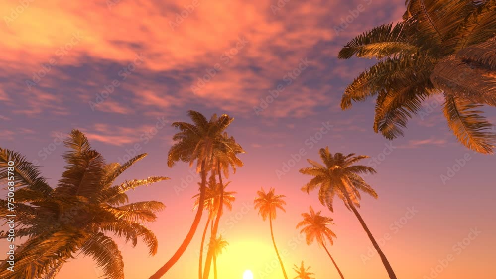 Going through palm trees with beautiful sunset on the background 3D 4K animation. Bottom view.
