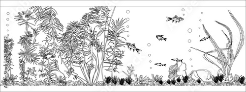 Vector sketch illustration of glass aquarium house interior decoration design with swimming fish and water plants
