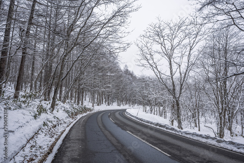 冬の森の道 © LookForNature