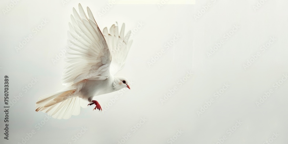 flying concept flying concept